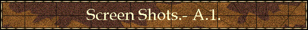 Screen Shots.- A.1.