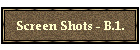 Screen Shots - B.1.